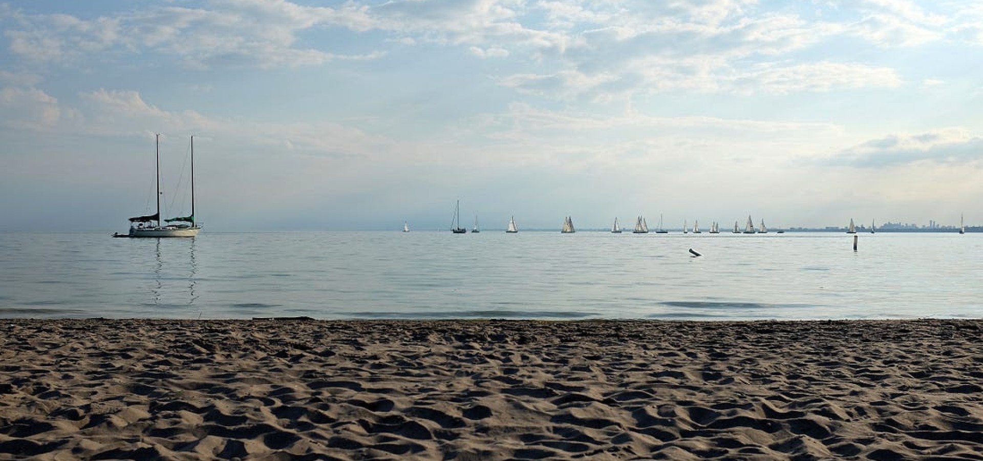 Protecting the vibe at Hanlan’s Point